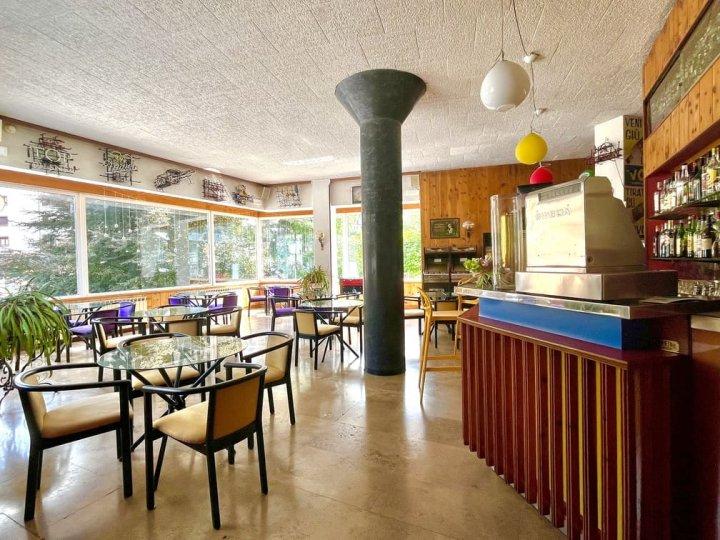Capodanno Park Hotel Bozzi Aprica - 4982