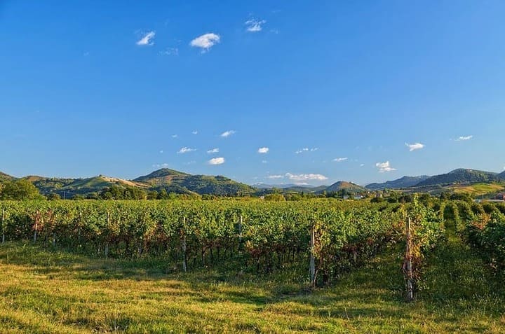 Capodanno nell'Oltrep&ograve; Pavese: offerte e cenoni